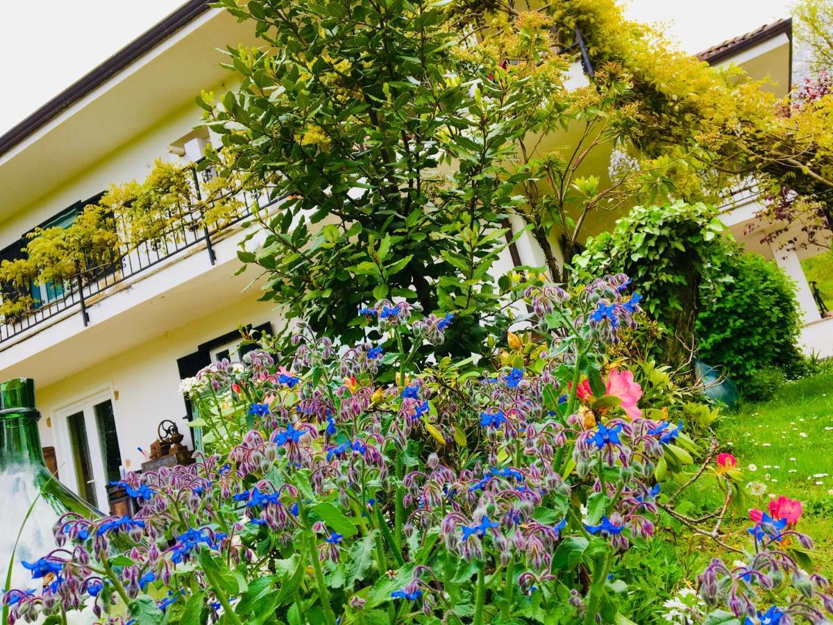 B&B La Libellula Castelnuovo Nigra Exterior photo